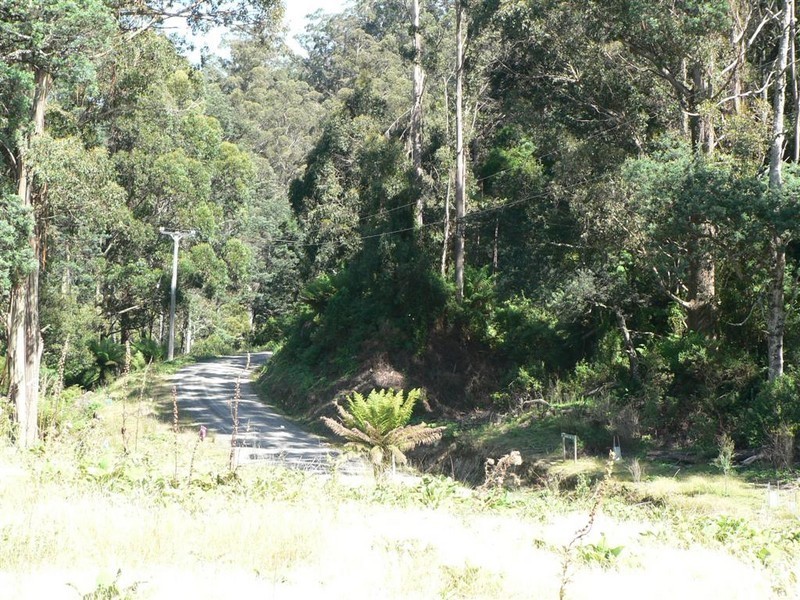 Lot 3 Lottah Road, Lottah TAS 7216