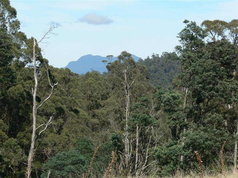 Lot 3 Lottah Road, Lottah TAS 7216