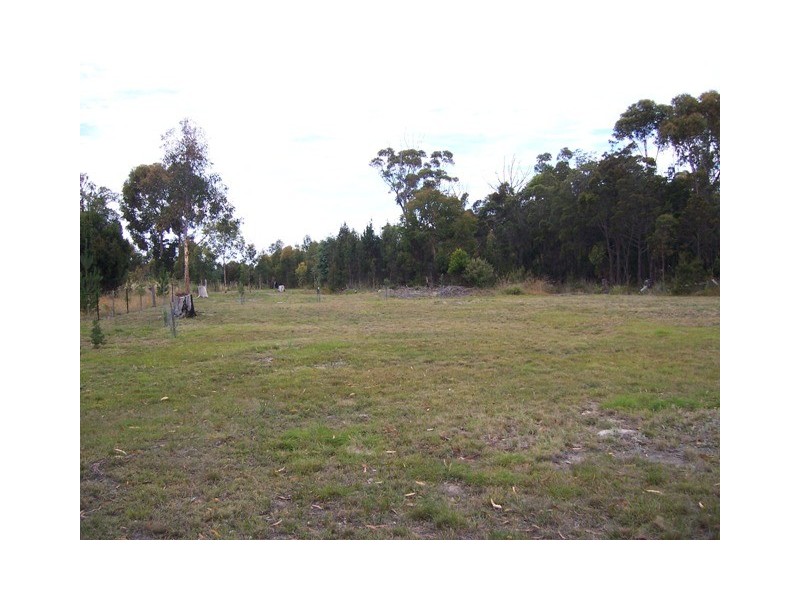 58 Riverview Road, Scamander TAS 7215
