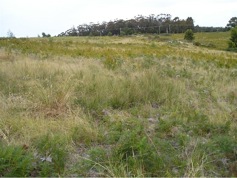 Lot 35 Susan Court, St Helens TAS 7216