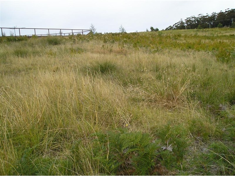 Lot 35 Susan Court, St Helens TAS 7216