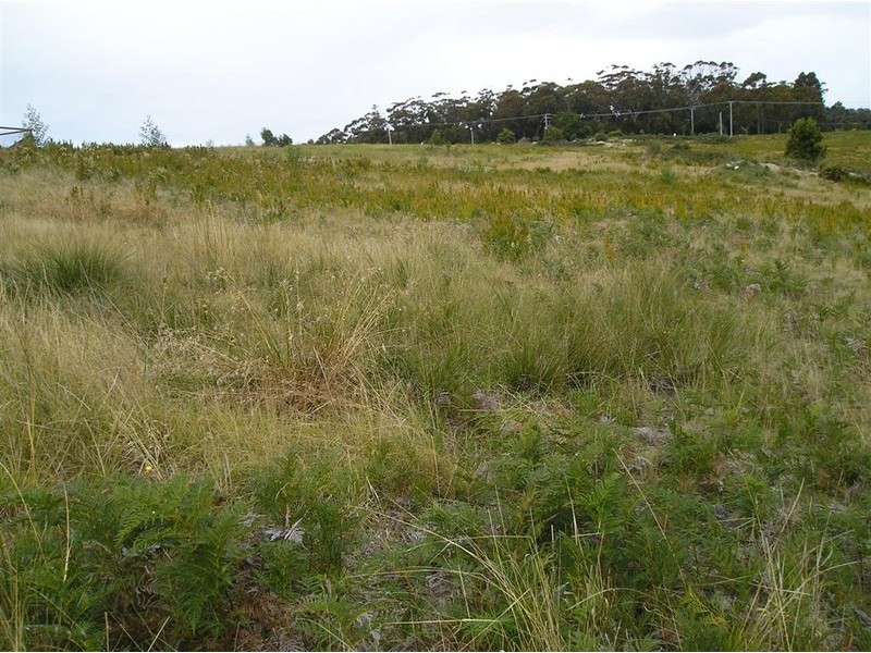 Lot 35 Susan Court, St Helens TAS 7216