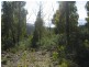 Davis Gully Road, Four Mile Creek TAS 7215