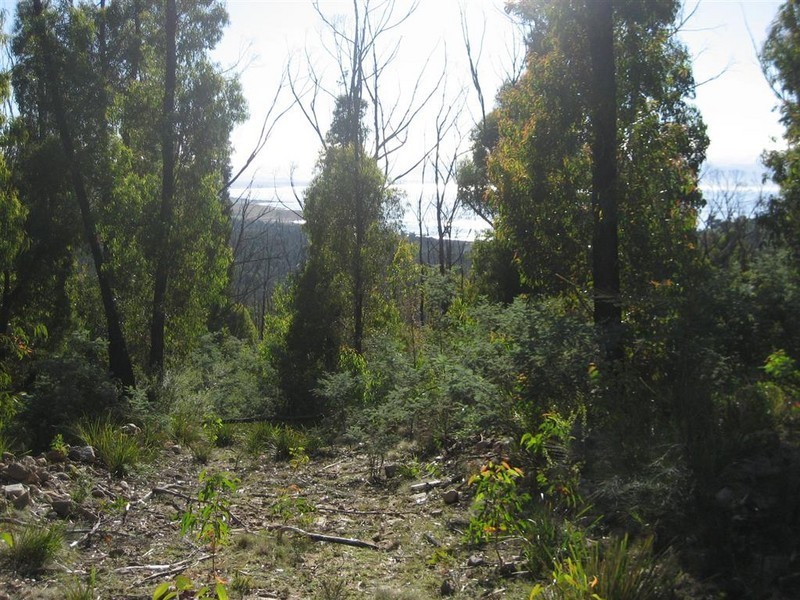 Davis Gully Road, Four Mile Creek TAS 7215