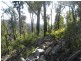 Davis Gully Road, Four Mile Creek TAS 7215