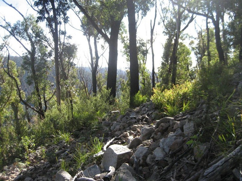 Davis Gully Road, Four Mile Creek TAS 7215