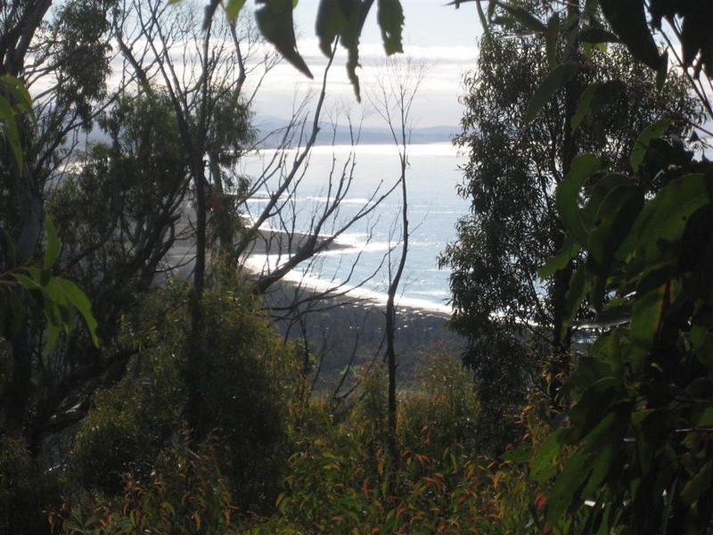 Davis Gully Road, Four Mile Creek TAS 7215