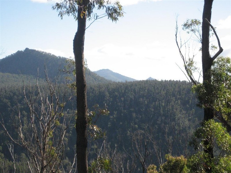 Davis Gully Road, Four Mile Creek TAS 7215