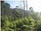 Davis Gully Road, Four Mile Creek TAS 7215