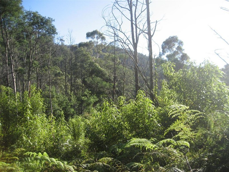 Davis Gully Road, Four Mile Creek TAS 7215