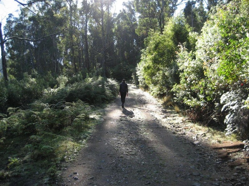 Davis Gully Road, Four Mile Creek TAS 7215