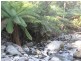 Davis Gully Road, Four Mile Creek TAS 7215