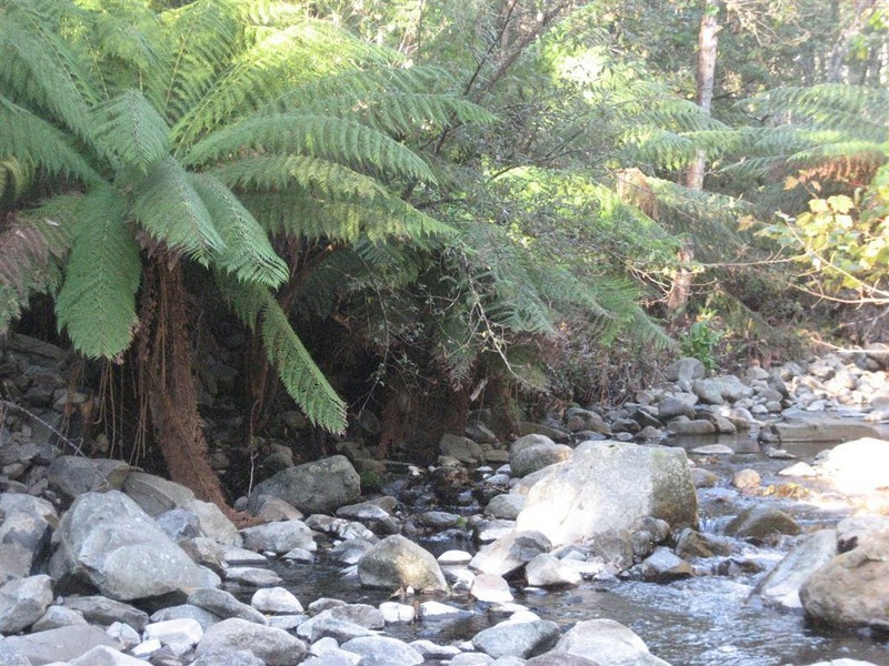 Davis Gully Road, Four Mile Creek TAS 7215