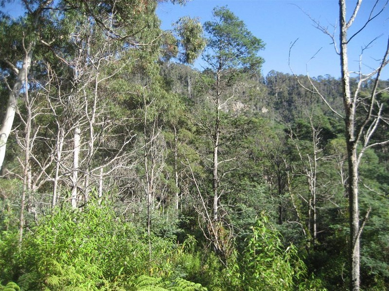 Davis Gully Road, Four Mile Creek TAS 7215