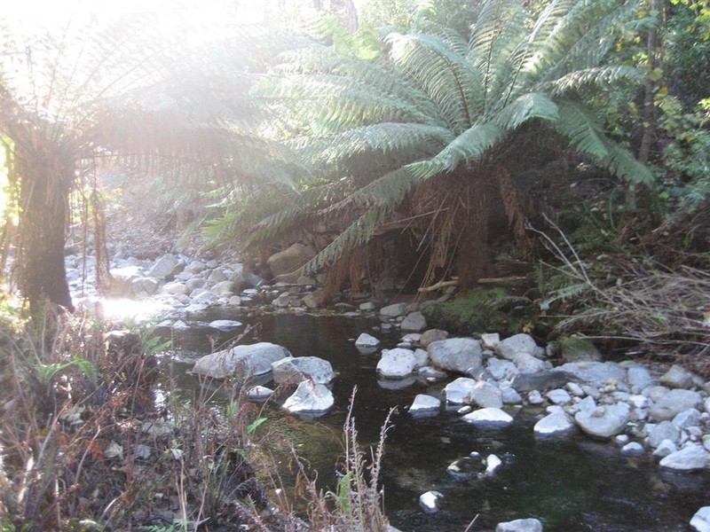 Davis Gully Road, Four Mile Creek TAS 7215