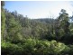Davis Gully Road, Four Mile Creek TAS 7215