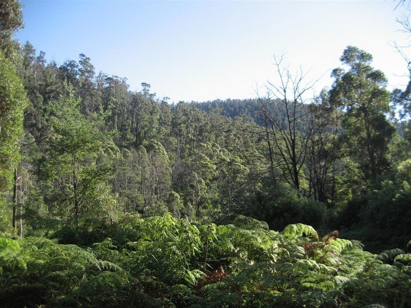 Davis Gully Road, Four Mile Creek TAS 7215