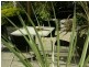 16 Beven Heights, Binalong Bay TAS 7216