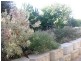 4 Driftwood Lane, St Helens TAS 7216