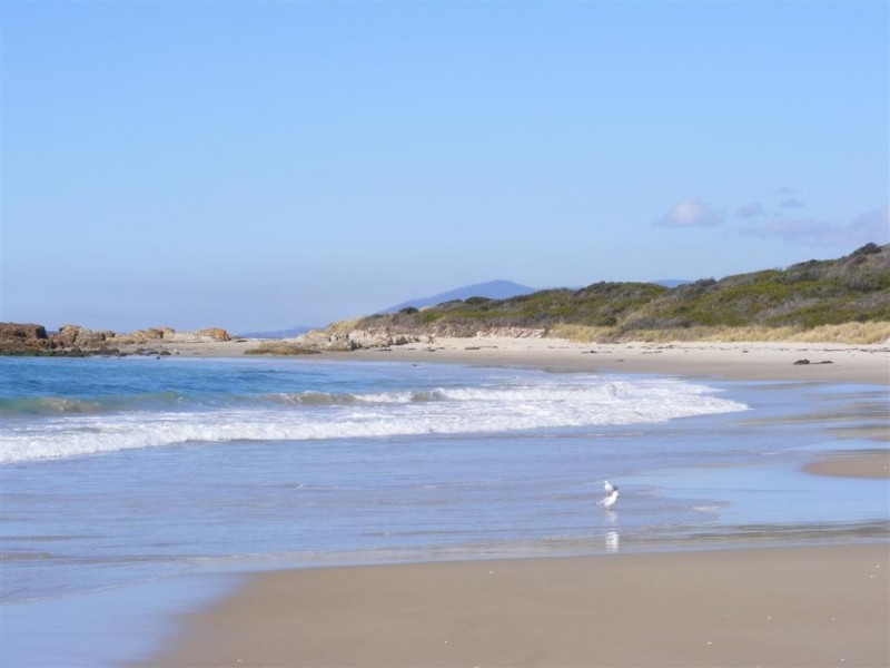 86 Tasman Highway, Beaumaris TAS 7215