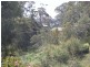 9 Falmouth Street, St Helens TAS 7216