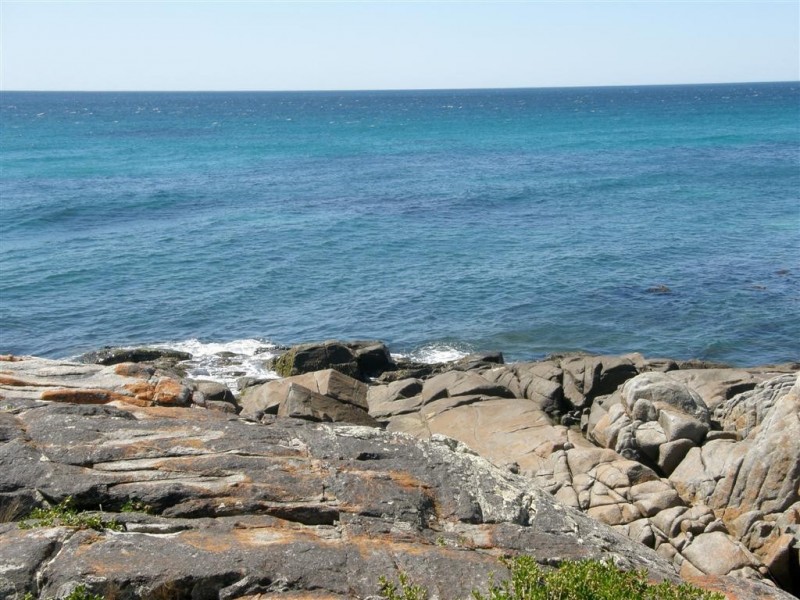 25B Morrison Street, Falmouth TAS 7215