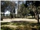 157 St Helens Point Road, St Helens TAS 7216