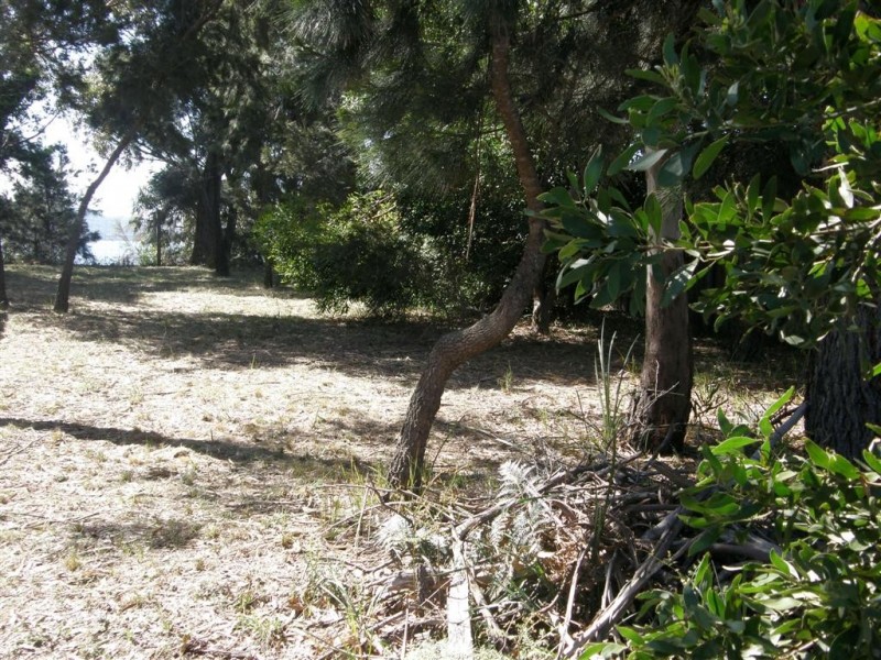 159 St Helens Point Road, St Helens TAS 7216