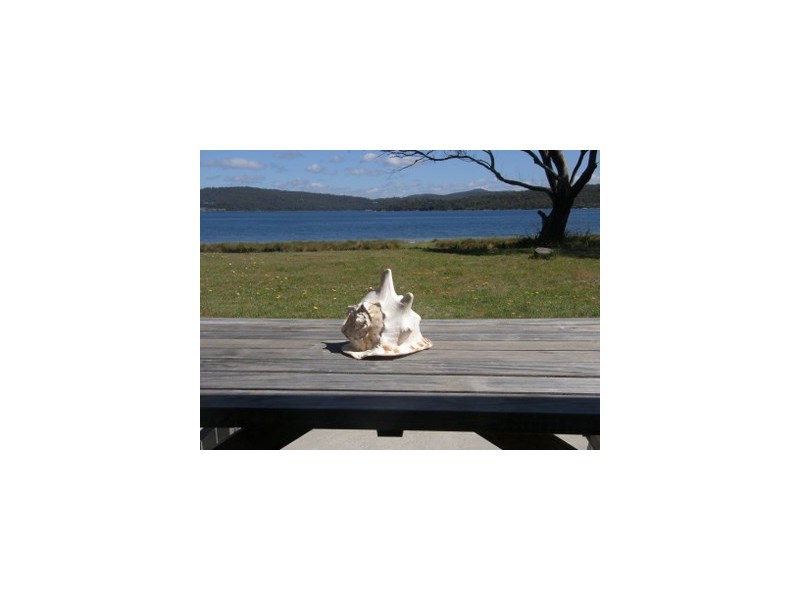 197  St Helens Point Road, Stieglitz TAS 7216