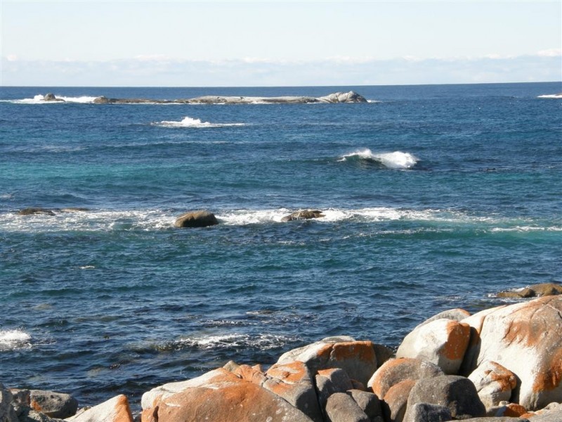 Lot 12 The Gardens Road, The Gardens TAS 7216
