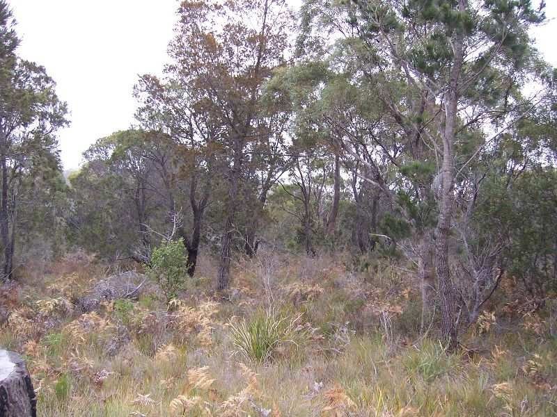 Lot 2 Gardens Road, Binalong Bay TAS 7216