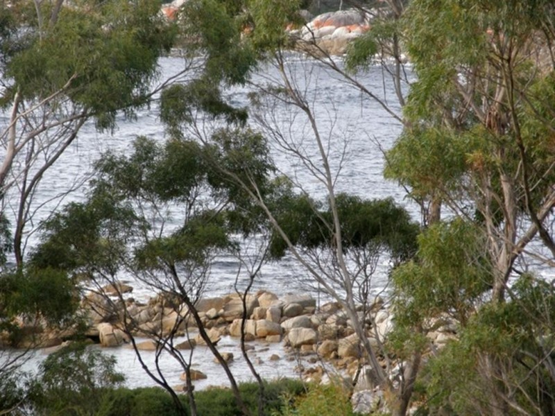 52 Treloggen Drive, Binalong Bay TAS 7216