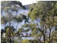 52 Treloggen Drive, Binalong Bay TAS 7216