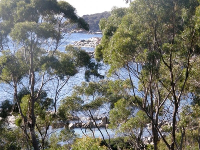 52 Treloggen Drive, Binalong Bay TAS 7216