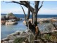 52 Treloggen Drive, Binalong Bay TAS 7216