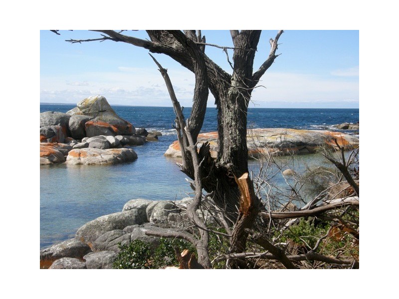 52 Treloggen Drive, Binalong Bay TAS 7216