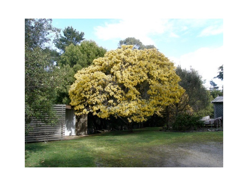 87 Argonaut Road, St Helens TAS 7216