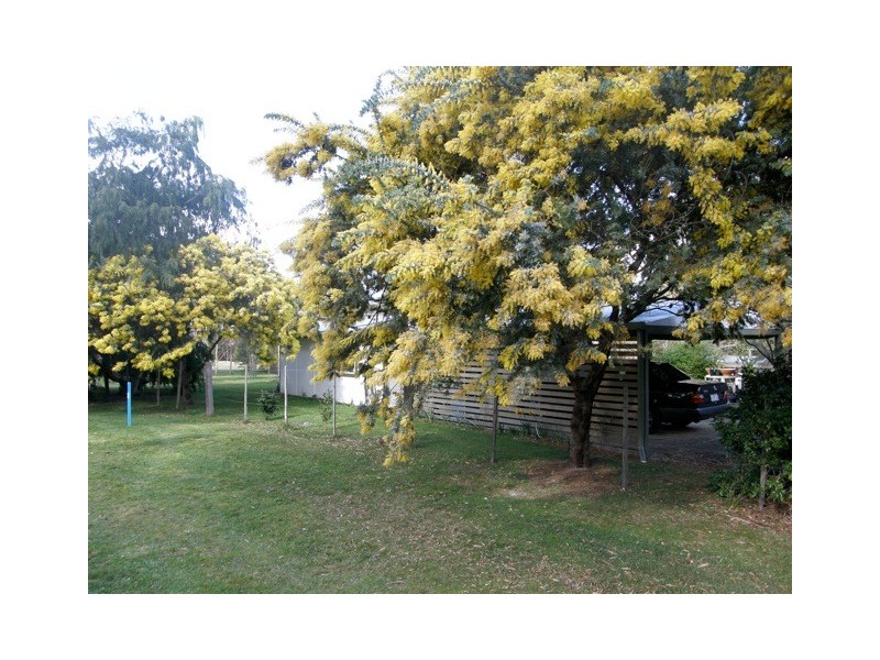 87 Argonaut Road, St Helens TAS 7216