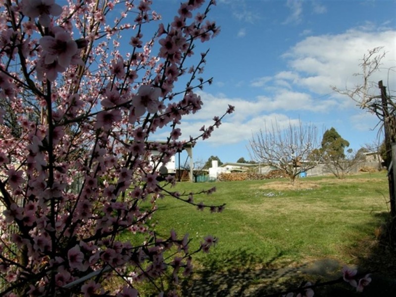 10 Atlas Drive, St Helens TAS 7216