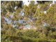 54 Treloggen Drive, Binalong Bay TAS 7216