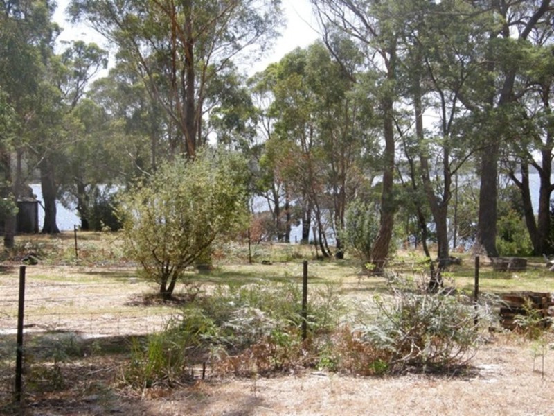 19 Melaleuca Street, Ansons Bay TAS 7216