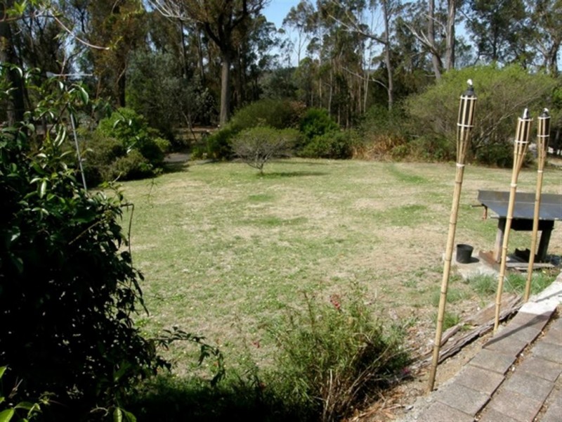 20 Cleland Drive, St Helens TAS 7216