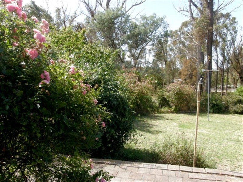 20 Cleland Drive, St Helens TAS 7216