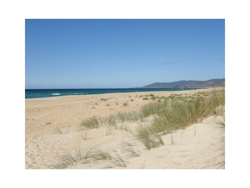 8 Dune Street, Scamander TAS 7215