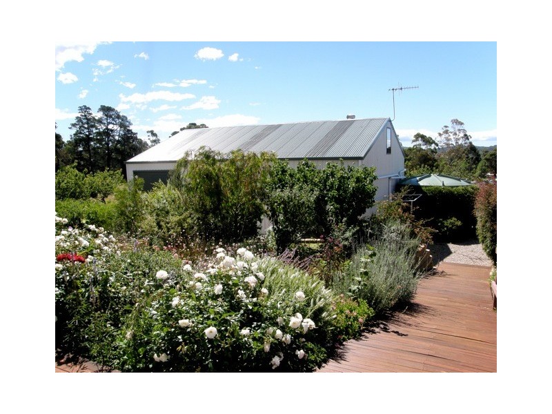 16 Bayvista Rise, St Helens TAS 7216