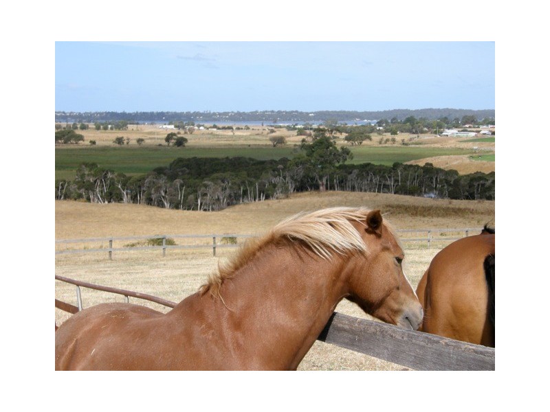 56 Canhams Road, St Helens TAS 7216