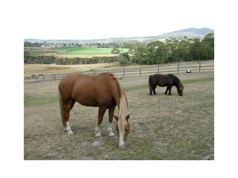 56 Canhams Road, St Helens TAS 7216