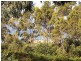 54 Treloggen Drive, Binalong Bay TAS 7216