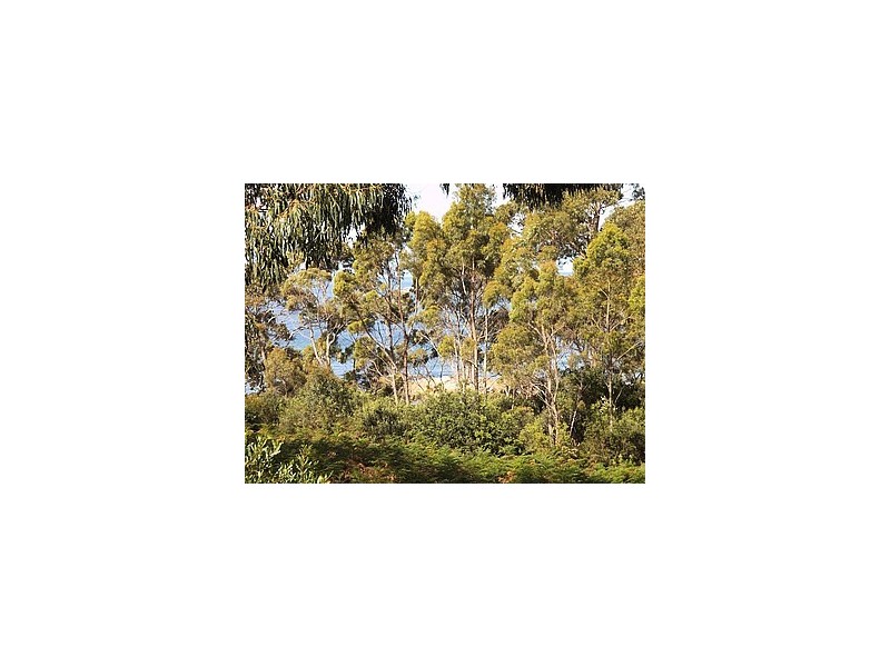 54 Treloggen Drive, Binalong Bay TAS 7216