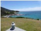 21174 Tasman Highway, Chain Of Lagoons TAS 7215
